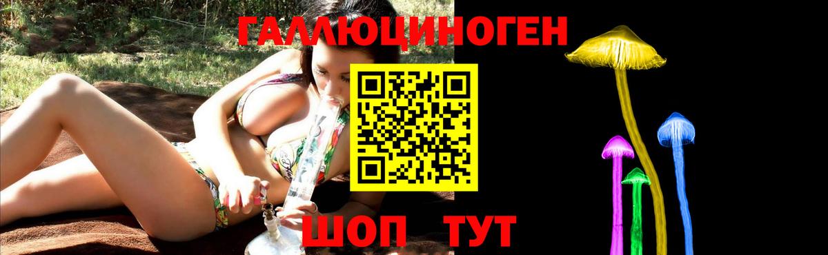 Псилоцибиновые грибы GOLDEN TEACHER Ялта